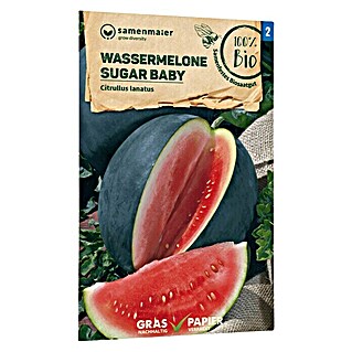 samenmaier Obstsamen Bio Wassermelone Sugar Baby (Citrullus lanatus, Erntezeit: August)