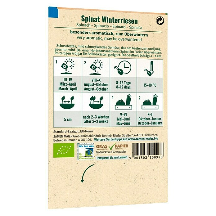 samenmaier Gemüsesamen Bio Spinat - Winterriesen (Spinacia oleracea, Saatzeit: März, Erntezeit: Mai) | BAUHAUS