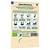 samenmaier Gemüsesamen Bio Spinat - Winterriesen (Spinacia oleracea, Saatzeit: März, Erntezeit: Mai) | BAUHAUS