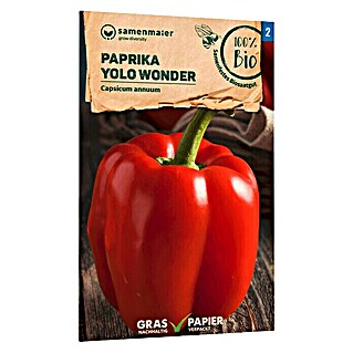 samenmaier Gemüsesamen Bio Papirka - Yolo Wonder (Capsicum annuum, Saatzeit: Februar, Erntezeit: Juli)