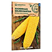 samenmaier Gemüsesamen Bio Golden Bantam (Zea mays convar. saccharata, Saatzeit: April, Erntezeit: Juli) | BAUHAUS