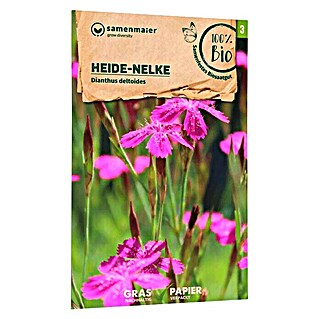 samenmaier Wildblumensamen Bio Heide-Nelke (Dianthus deltoides, Rosa, Saatzeit: März, Blütezeit: Juni)