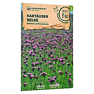 samenmaier Wildblumensamen Bio Kartäuser Nelke (Dianthus carthusianorum, Rosa, Saatzeit: März, Blütezeit: Mai)