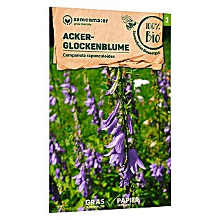 samenmaier Wildblumensamen Bio Ackerglockenblume (Campanula rapunculoides)