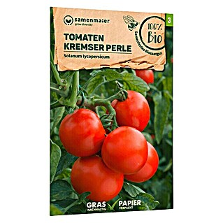 samenmaier Gemüsesamen Bio Tomaten - Kremser Perle (Solanum Lycopersicum, Saatzeit: Februar, Erntezeit: Juli)