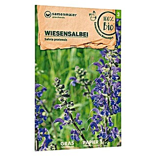 samenmaier Wildblumensamen Bio Wiesensalbei (Salvia pratensis, Lila, Saatzeit: März, Blütezeit: Mai)