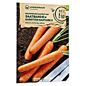 samenmaier Gemüsesamen Bio Saatband Karotten Nantaise 2 (Daucus carota ssp. sativus, Saatzeit: März, Erntezeit: August) | BAUHAUS