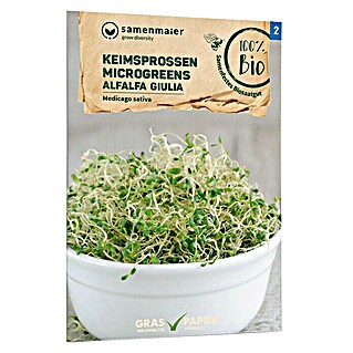samenmaier Kräutersamen Bio Keimsprossen Microgreens Alfalfa Giulia (Medicago sativa, Saatzeit: Ganzjährig, Erntezeit: Ganzjährig)