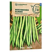 samenmaier Gemüsesamen Bio Buschbohnen Elmoro (Phaseolus vulgaris var. nanus, Saatzeit: Mai, Erntezeit: Juli) | BAUHAUS