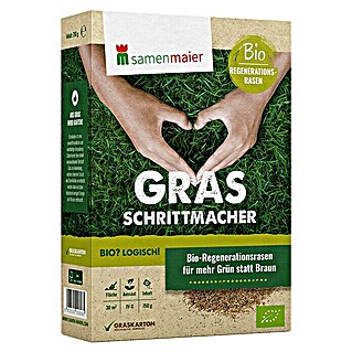 samenmaier Rasensamen Bio Regenerationsrasen Grasschrittmacher (750 g, Saatgut ausreichend für: 30 m²)