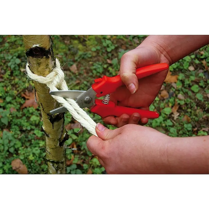 Wisent Kombi-Schere - Schnittlänge: 42 mm, Material Klinge: Edelstahl - Eine Nahaufnahme einer Person, die mit einer roten Gartenschere ein dickes Seil durchtrennt, das um einen kleinen Baum gebunden ist.