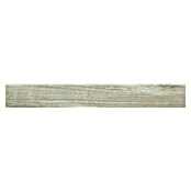 Zócalo cerámico Baltimore (8 x 60 cm, Taupe, Mate, 10 pzs.) | BAUHAUS