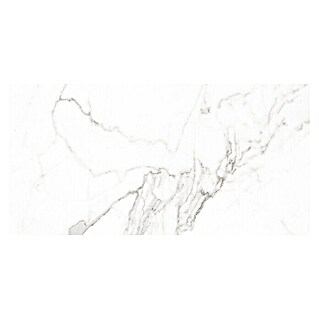 Pavimento porcelánico Palatina Pulido (60 x 120 cm, Blanco Carrara, Brillante, Rectificado)