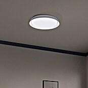 Ledvance SUN@Home LED-Wand- & Deckenleuchte rund Orbis Plate (26 W, Ø x H: 43 x 7 cm, Weiß, Kaltweiß) | BAUHAUS