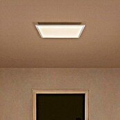 Ledvance SUN@Home LED-Panel Planon Plus (35 W, L x B x H: 60 x 60 x 5,6 cm, Weiß, Kaltweiß) | BAUHAUS