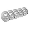 GP Lithium Batterie Knopfzellen CR2450 3V (5 Stk.) | BAUHAUS