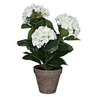 Planta artificial Hortensia (Altura: 40 cm, Blanca, Plástico)