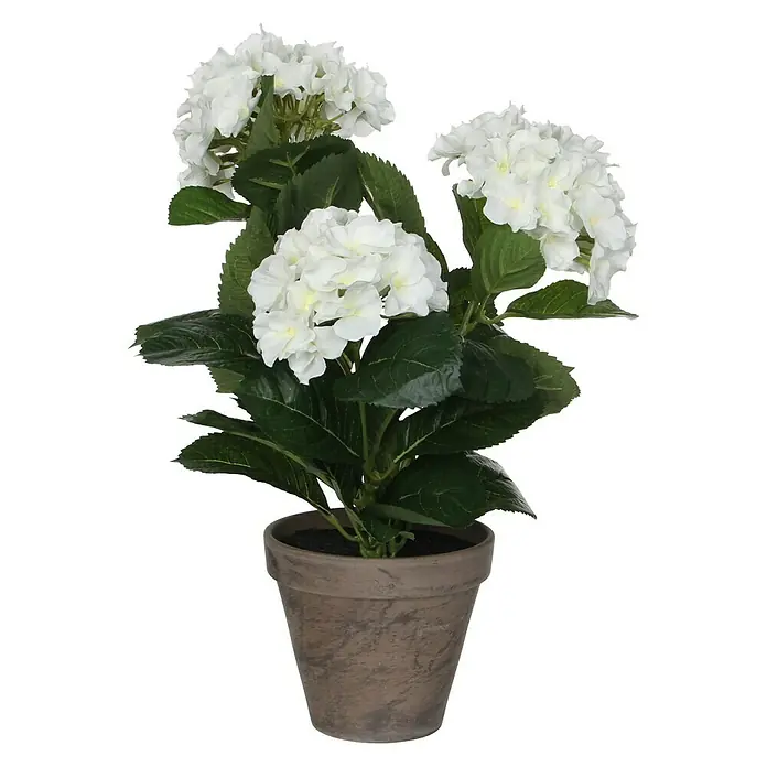 Planta artificial Hortensia - Altura: 40 cm, Blanca, Plástico - Hortensia blanca artificial en maceta de terracota. Ideal para decorar interiores y dar belleza a cualquier rincón de tu hogar.