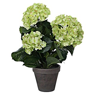 Planta artificial Hortensia (Altura: 40 cm, Verde, Plástico)