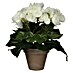 Planta artificial Begonia 