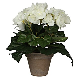 Umjetna biljka Begonija (Visina: 25 cm, Blanca, Plastika)