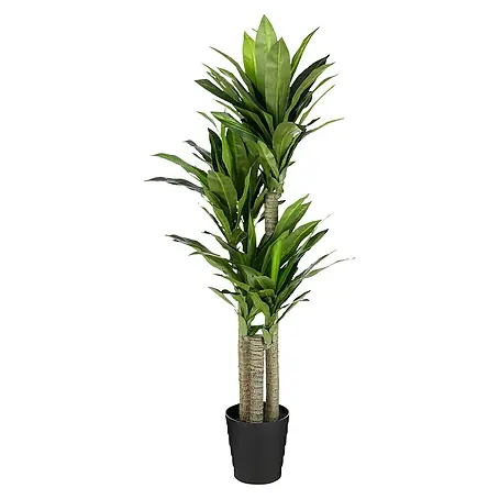 Planta artificial Drácena