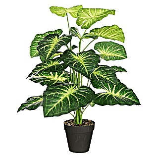 Planta artificial Caladium (Altura: 80 cm, Plástico, Verde)