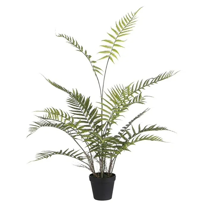 Planta artificial Helecho adiantum - Altura: 91 cm, Plástico - Helecho artificial en una maceta negra. La planta tiene hojas verdes y se mantiene erguida. Perfecto para una decoración elegante.