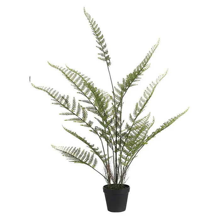 Planta artificial Helecho - Altura: 91 cm, Plástico - Planta en maceta con frondes de helecho, que añade un toque elegante y natural a cualquier habitación. El verde del helecho es refrescante.