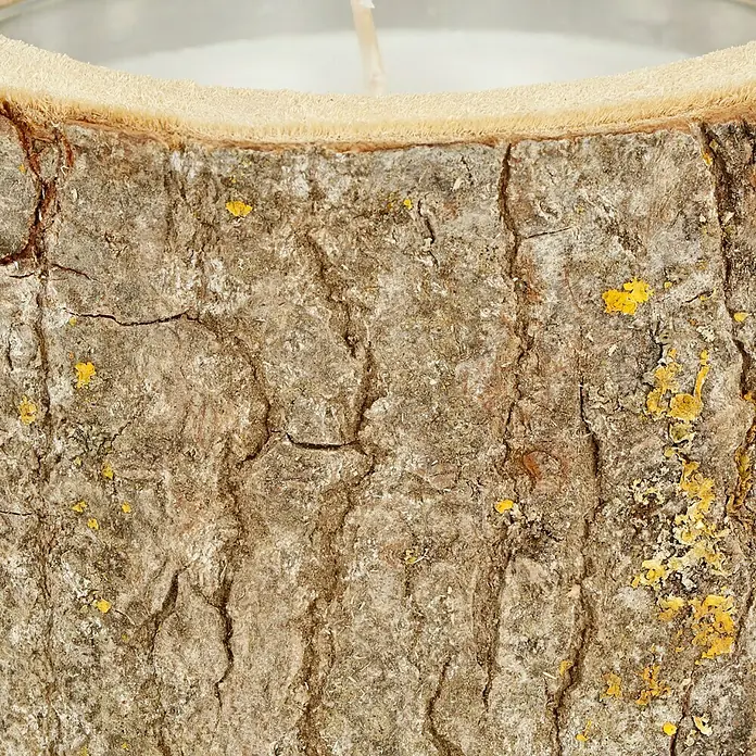 Duftkerze Holzkerzenhalter - Citronella, Weiß - Nahaufnahme einer rustikalen Kerze im Baumstamm-Design. Perfekt für eine gemütliche Atmosphäre.