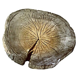 EHL Trittplatte Baumscheibe (Naturbraun, Durchmesser: 300 mm - 450 mm, Stonewood, Beton)