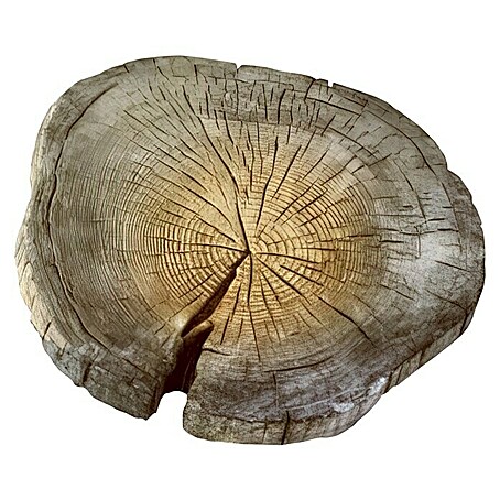 EHL Trittplatte Baumscheibe (Naturbraun, Durchmesser: 300 mm - 450 mm, Stonewood, Beton)