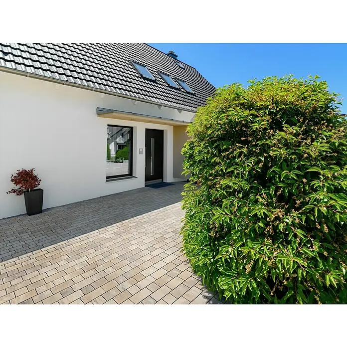 EHL Pflasterstein Corte - Muschelcreme, Gesamtstückzahl: 36 Stk., Rechteckig - Einfamilienhaus mit gepflastertem Weg, Bepflanzung und modernen architektonischen Elementen. Die Fassade ist hell, das Dach grau und Ziegelgedeckt.