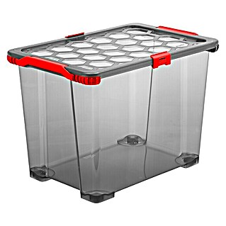 Rotho Aufbewahrungsbox Evo Total (L x B x H: 59 x 39,5 x 41,2 cm, Fassungsvermögen: 65 l, Kunststoff, Deckelfarbe: Transparent)