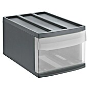 Rotho Schubladenbox Systemix M (L x B x H: 39,5 x 25,5 x 20,3 cm, Anthrazit, Anzahl Schubladen: 1 Stk.) | BAUHAUS