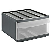 Rotho Schubladenbox Systemix L (L x B x H: 39,5 x 34 x 20,3 cm, Anthrazit, Anzahl Schubladen: 1 Stk.) | BAUHAUS