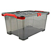 Rotho Aufbewahrungsbox Evo Total (L x B x H: 59 x 39,5 x 18,5 cm, Fassungsvermögen: 30 l, Kunststoff, Deckelfarbe: Transparent) | BAUHAUS