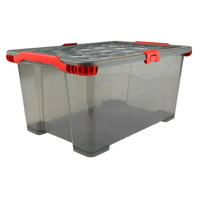 Rotho Aufbewahrungsbox Evo Total - L x B x H: 59 x 39,5 x 18,5 cm, Fassungsvermögen: 30 l, Kunststoff, Farbe Deckel: Transparent - Transparente Aufbewahrungsbox mit grauem Deckel und roten Akzenten für stilvolle Ordnungslösungen im ganzen Haus.