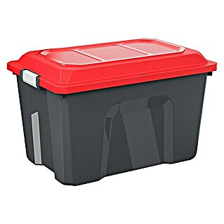 Rotho Aufbewahrungsbox Locker (L x B x H: 58,5 x 38,5 x 35 cm, Kunststoff, Schwarz)