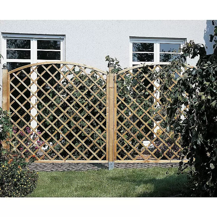 Rankgitter Mit Bogen - B x H: 180 x 180 cm - Zwei bogenförmige Holzspaliere als Sichtschutz, bewachsen mit Kletterpflanzen im Garten.