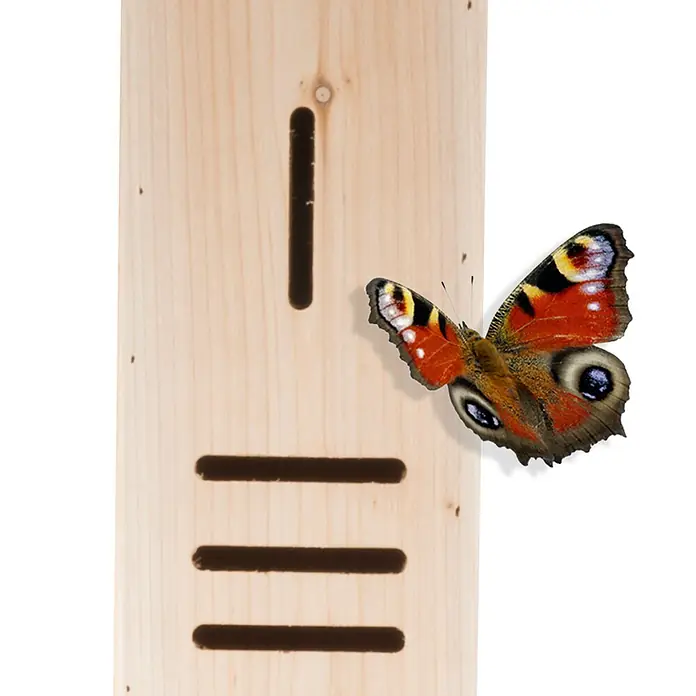 Hotel para insectos - 14,5 x 10 x 160 cm, Madera, Natural - Casita para mariposas de madera clara con aberturas alargadas y una mariposa de colores sentada delante. Protección útil contra insectos en el jardín.