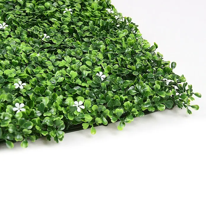 Faura Jardín vertical Jazmín - Plástico, L x An: 50 x 50 cm - Primer plano de un seto de boj artificial con pequeñas flores blancas, ideal para fines decorativos tanto en interiores como en exteriores.