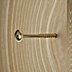 Profi Depot Holzbauschraube TX (Durchmesser: 8 mm, Länge: 240 mm, Tellerkopf, TX für TORX-Antriebe, 25 Stk.)