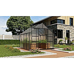 Vitavia Gewächshaus Mars 6700 (Außenmaß inkl. Dachüberstand (B x T): 257 x 258 cm, 4 mm, Anthrazit)