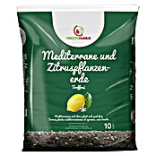 Presto Humus Kübelpflanzenerde für Zitrus- und Mediterranepflanzen (10 l) | BAUHAUS