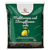 Presto Humus Zitruspflanzenerde (10 l, Torffrei) | BAUHAUS