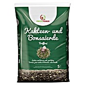Presto Humus Kakteenerde (5 l) | BAUHAUS