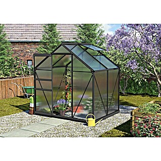 Vitavia Gewächshaus Calypso 3000 (Außenmaß inkl. Dachüberstand (B x T): 195 x 158 cm, 6 mm, Anthrazit)