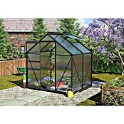 Vitavia Gewächshaus Calypso 3000 (1,58 x 1,95 x 2,07 m, Farbe: Anthrazit, Polycarbonat, 4 mm)