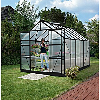 Vitavia Gewächshaus Mars 9900 (Außenmaß inkl. Dachüberstand (B x T): 257 x 383 cm, 4 mm, Schwarz)